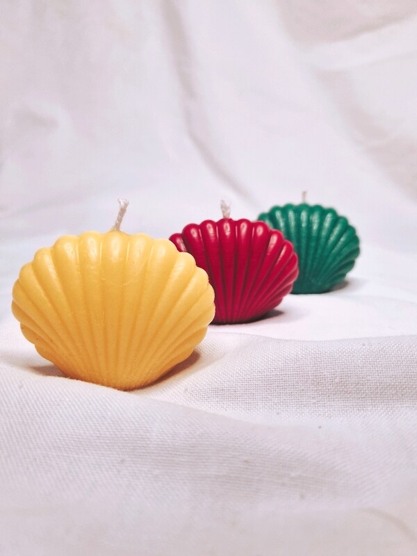 Mini Seashells