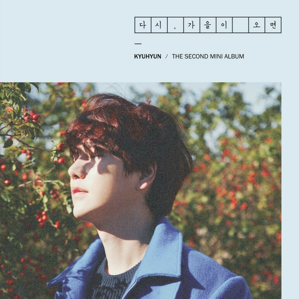 [Fall, Once Again] KyuHyun SuperJunior 2nd Mini Album