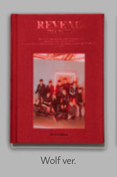 [REVEAL] THE BOYZ 1ST ALBUM (POSTER SOLD OUT), OPTION VERSION: WOLF VER.