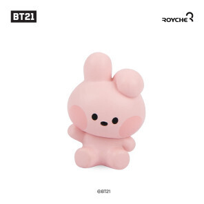 BT21 FLASH SALE ITEMS
