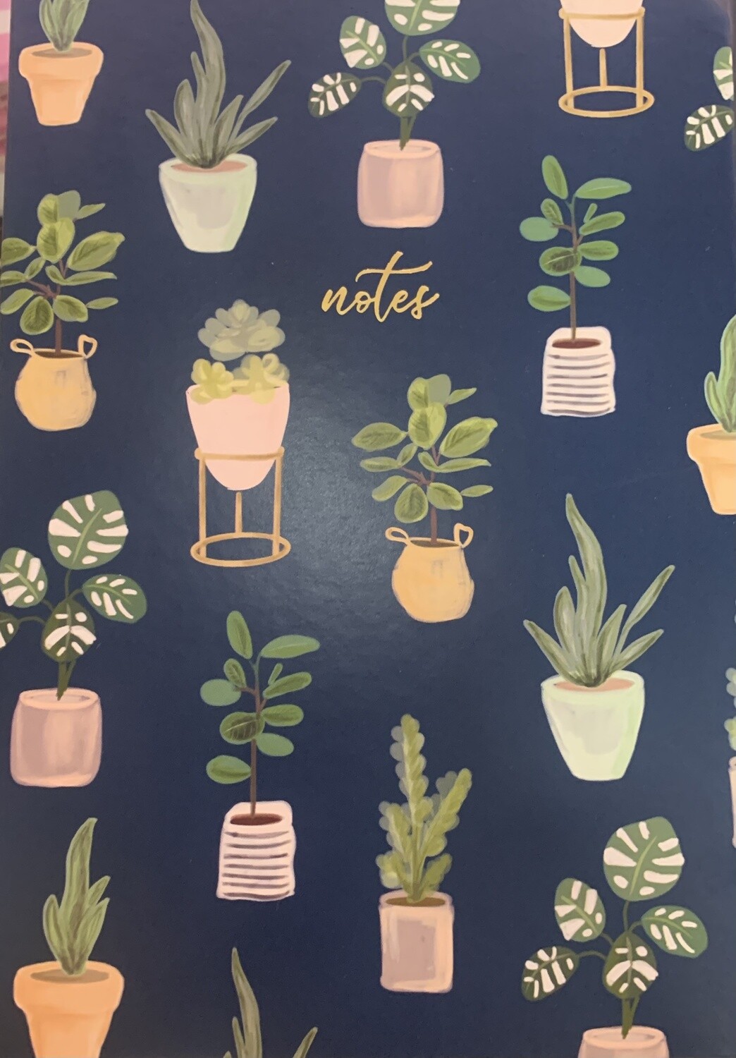 House Plants Journal