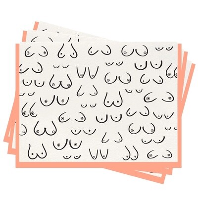 Boobs Blank Cards Set of 6