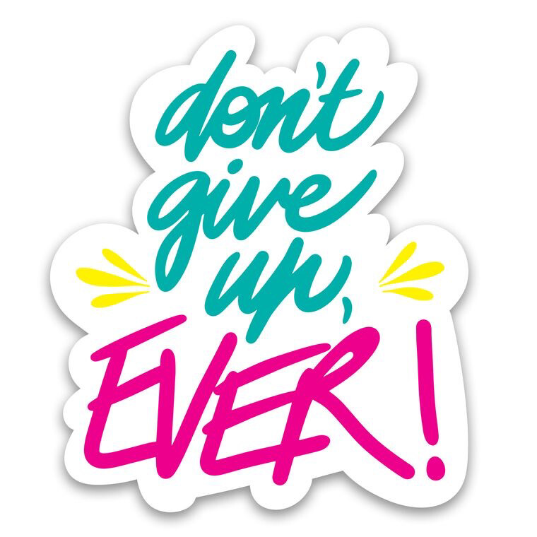 DON'T GIVE UP VINYL STICKER