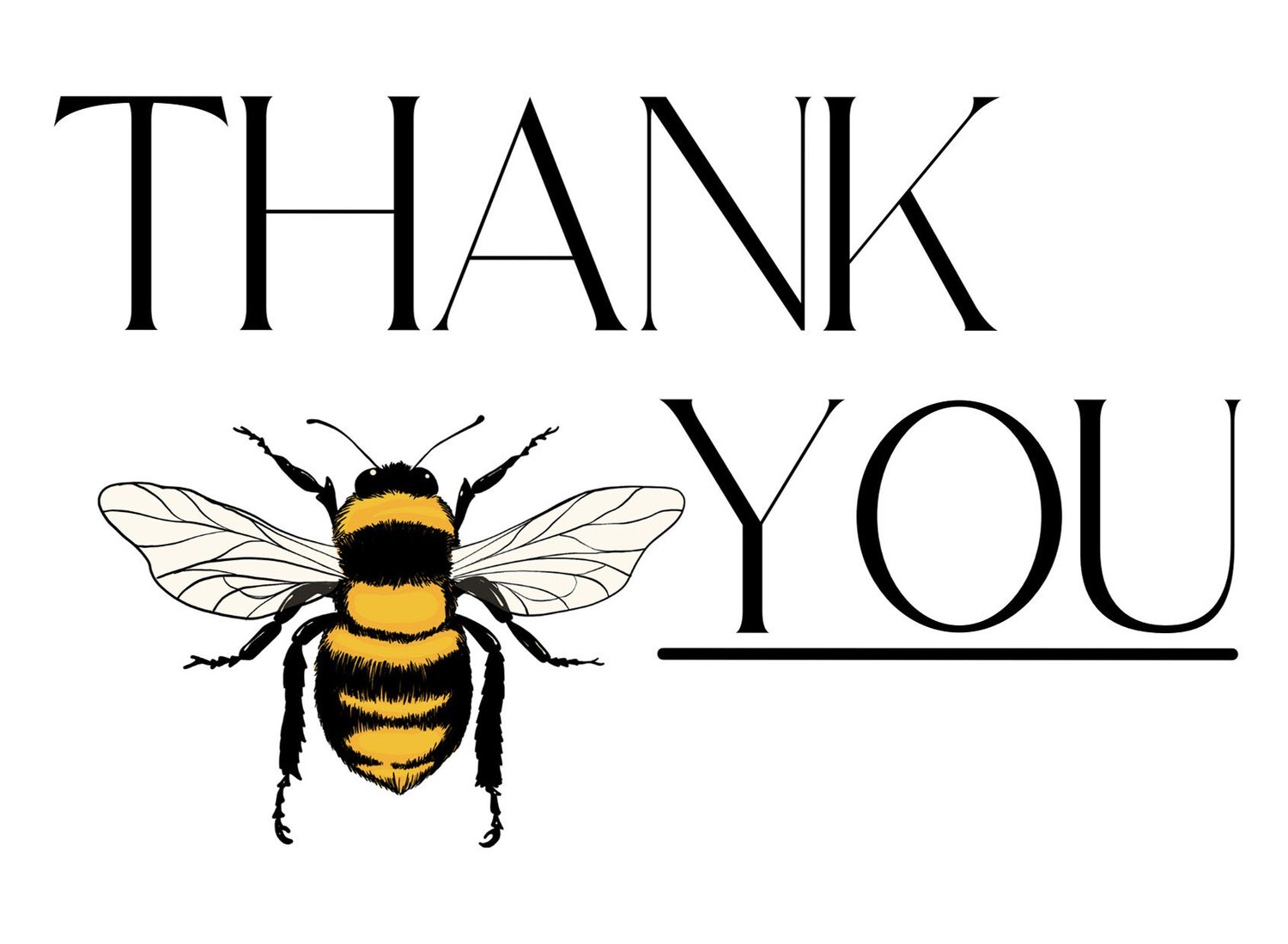 Bee Thank You Cards