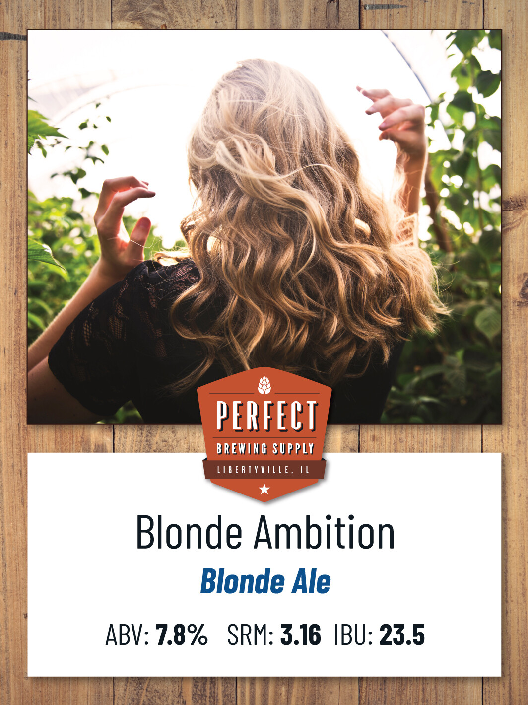 Blonde Ambition (Extract Recipe Kit)