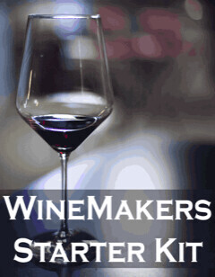 Winemaking PBS Equipment Kit w/ Glass Carboy