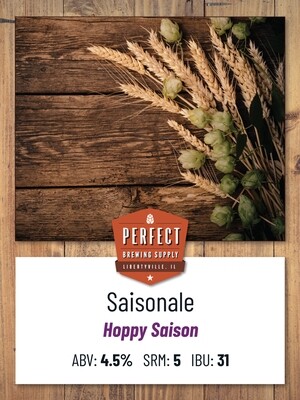 Saisonale Hoppy Saison (Extract Recipe Kit)