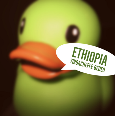 Ethiopia Yirgacheffe Gedeo Whole Bean Coffee 1lb
