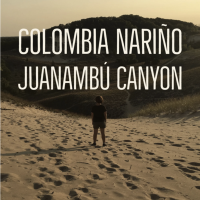 Colombia Narino Juanambu Whole Bean 1lb Coffee