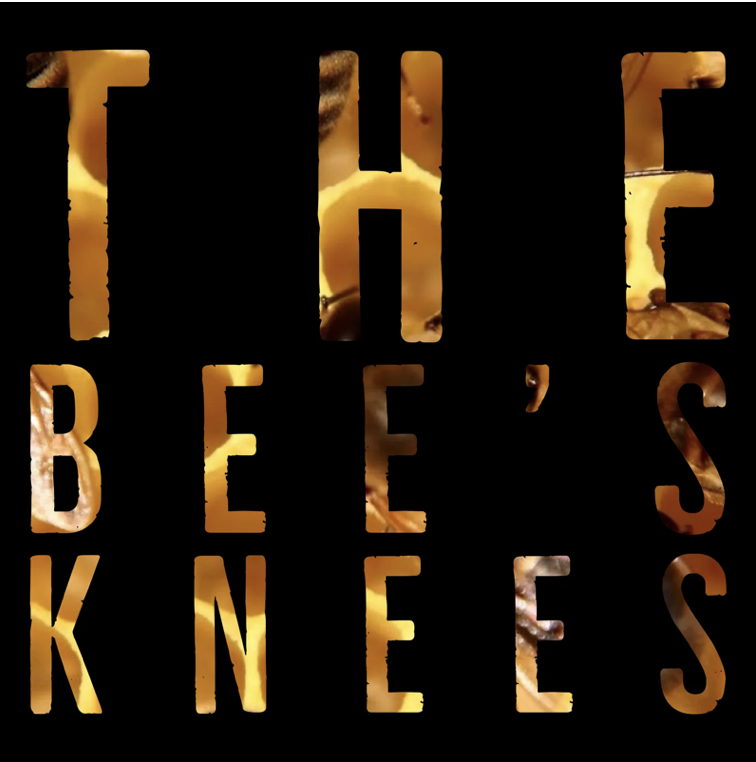The Bee's Knees Coffee Beans 1 LB