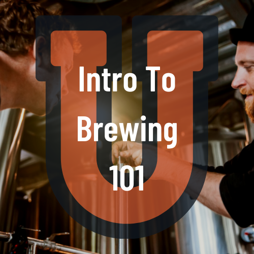 Intro to Brewing 4/22/2023 9am - Noon