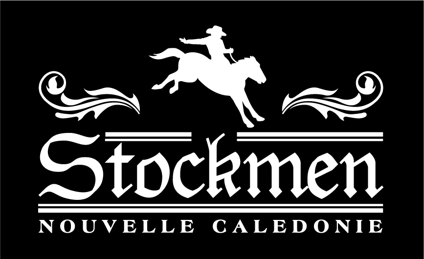 PAREO  OUTBACK  180X115