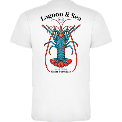 Porcelain T-shirt Blanc