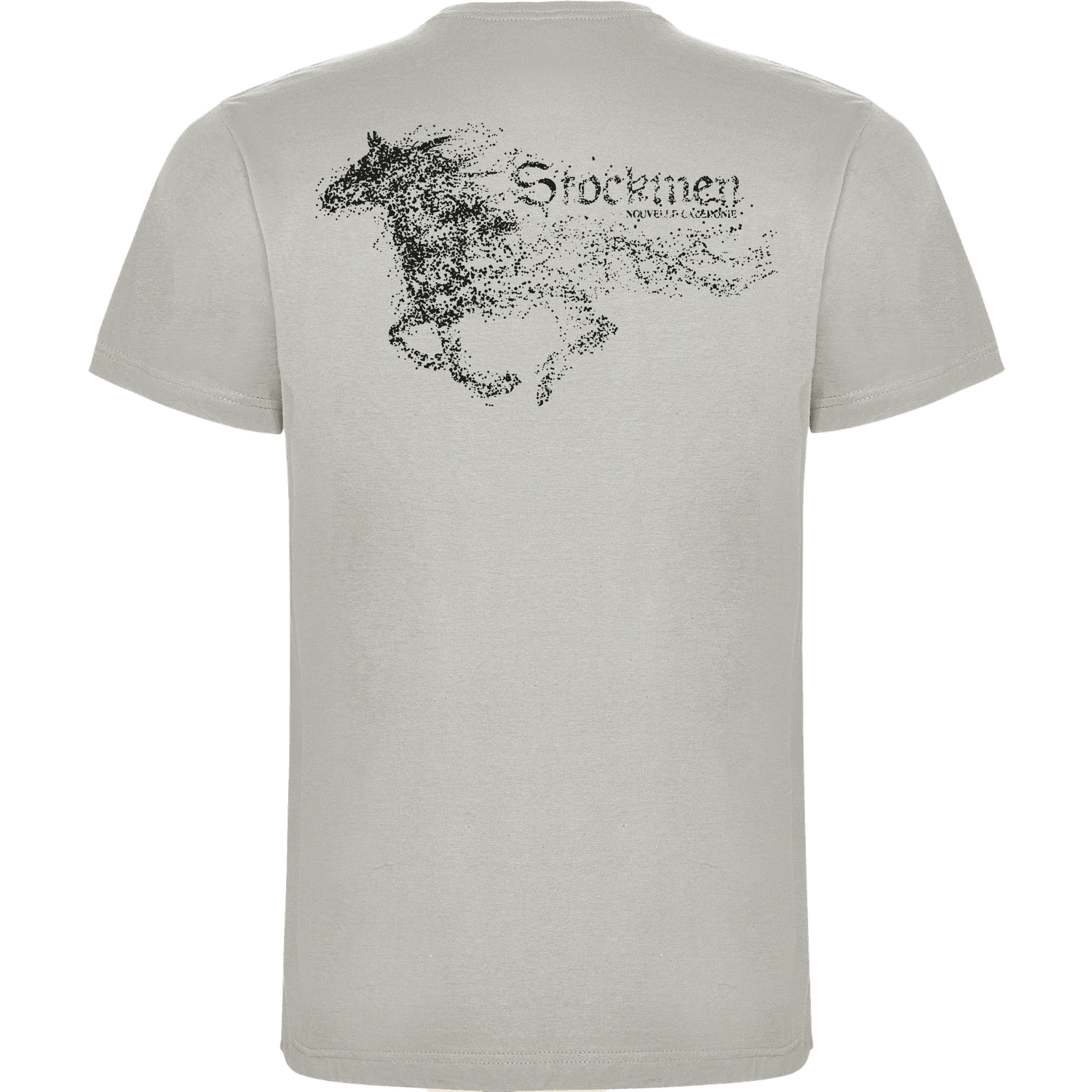 STORM T-shirt Gris Perle