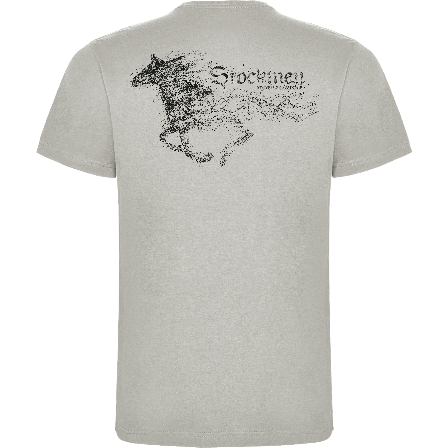 STORM T-shirt Gris Perle