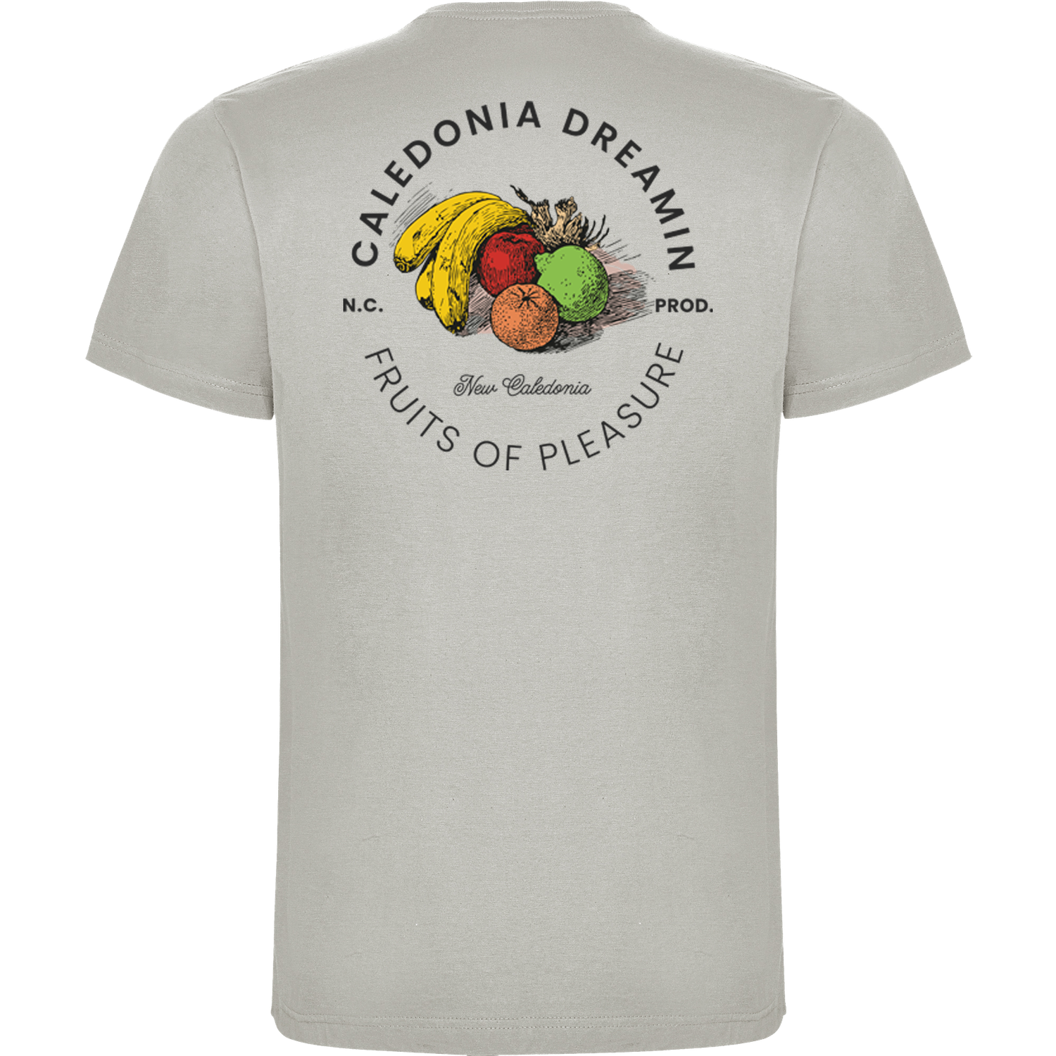 PLEASURE T-shirt Gris Perle