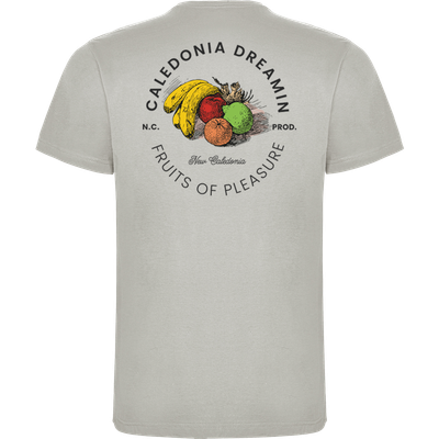 PLEASURE T-shirt Gris Perle