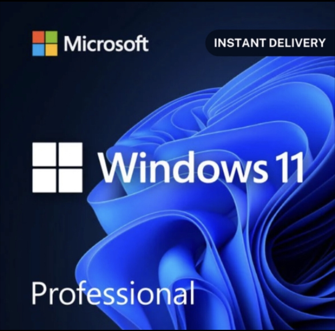 Windows 11 ,12 , professionnel etc…
