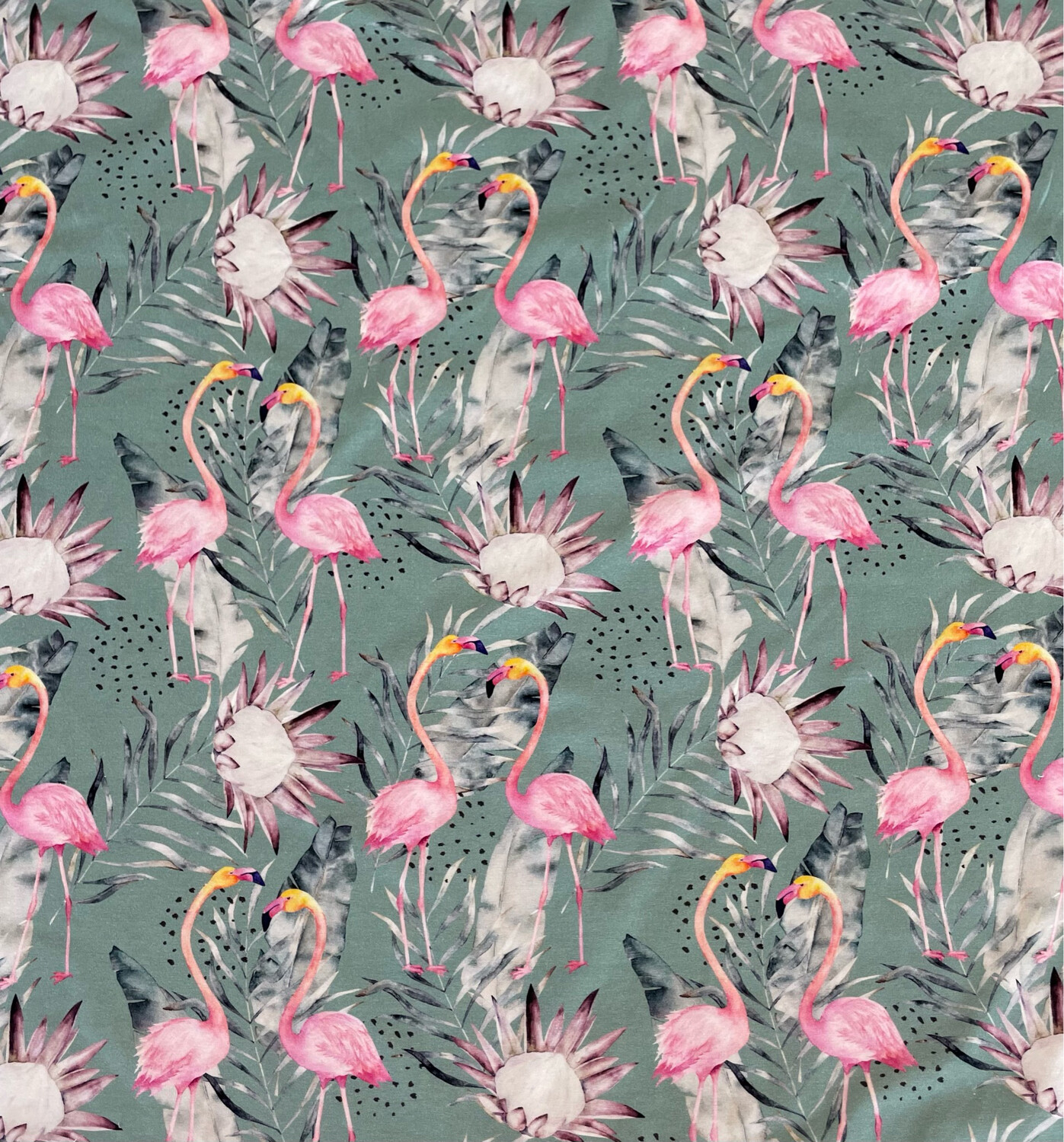 Green Flamingos -puuvillaelastaanitrikoo, Sage 1m Pala