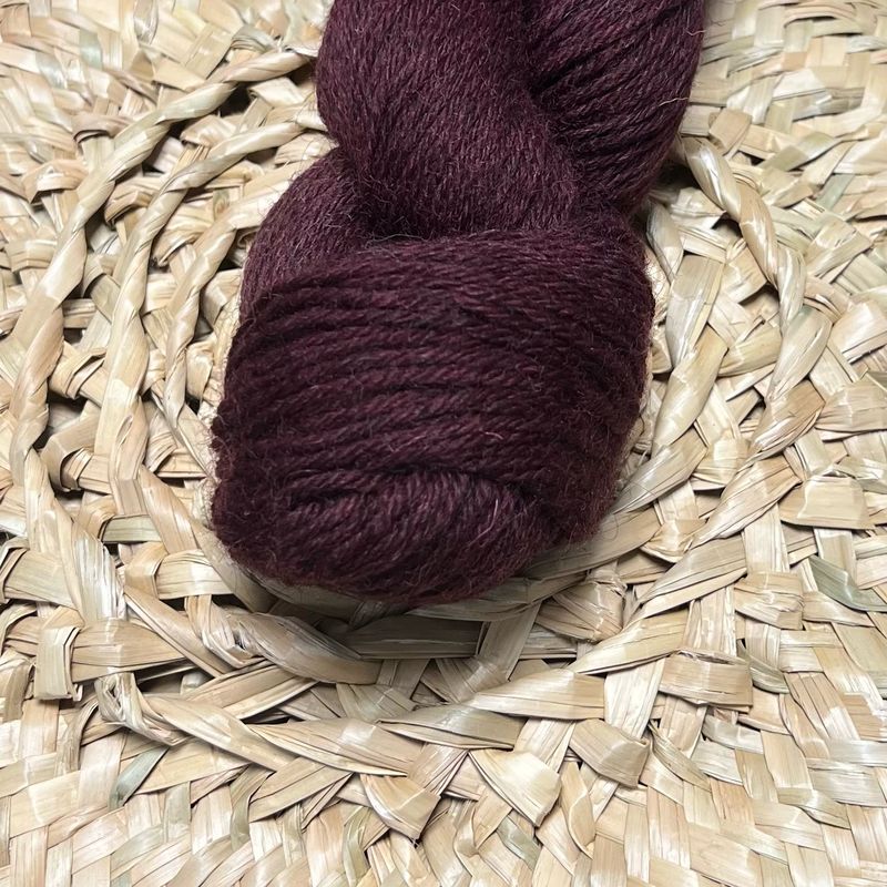 BRE Eden DK, Viini 905