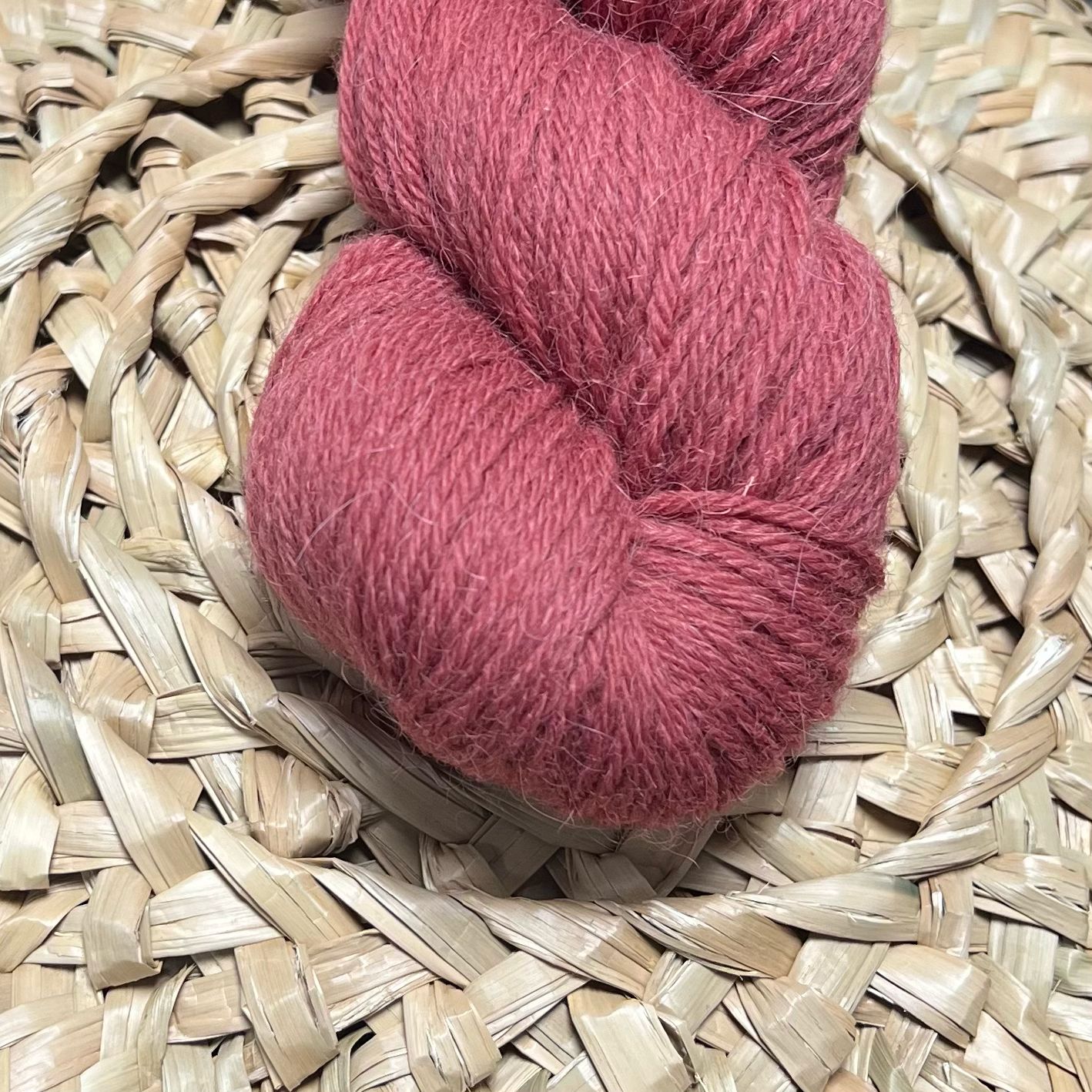 BRE Eden DK, Koralli 907