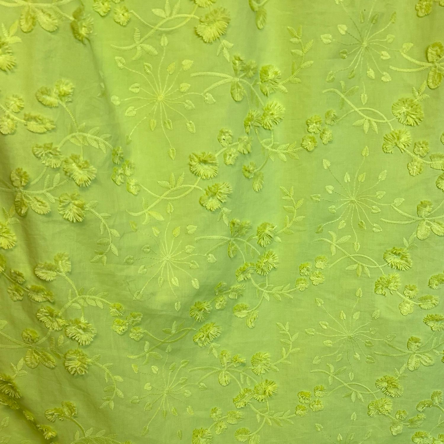 Brittany 3D-puuvilla, Lime