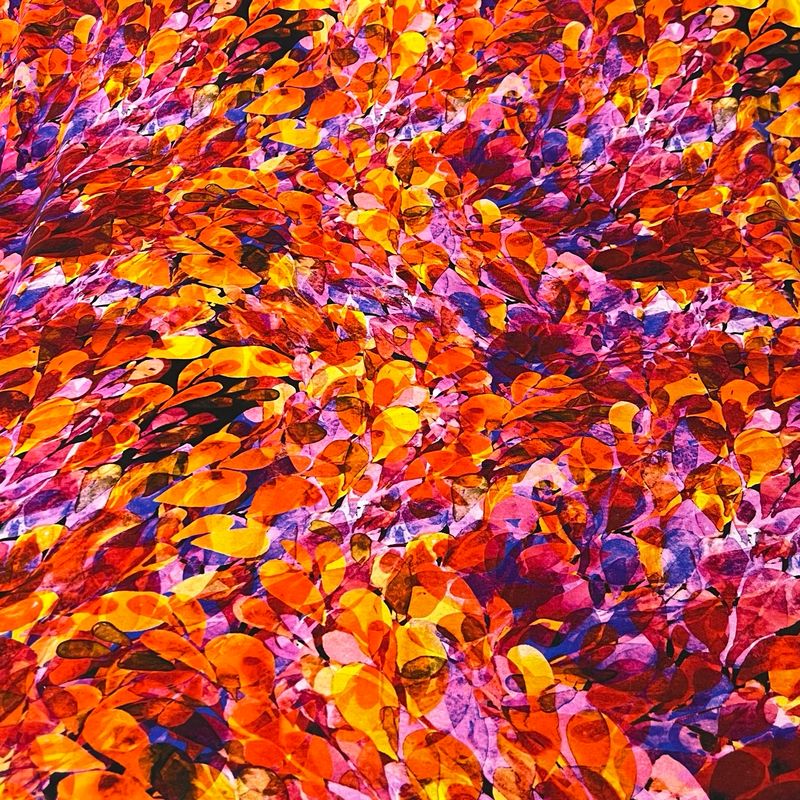 River- Viskoositrikoo, Violetti