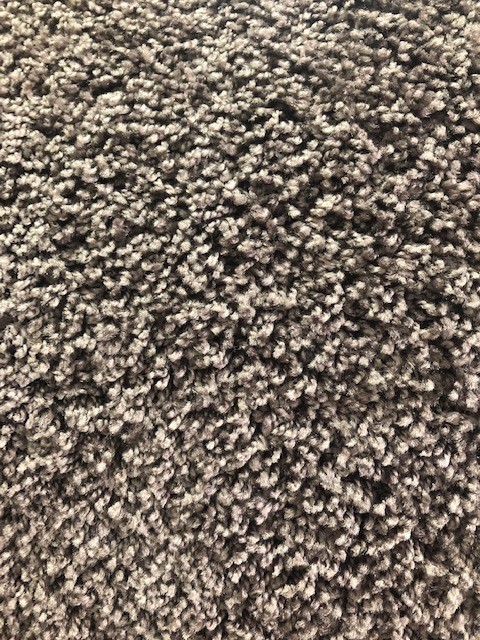 Carpet - Spring Fling