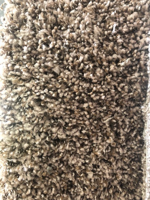 Carpet - Empire Stardust