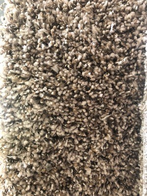 Carpet - Empire Stardust