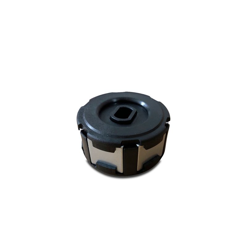 Rotore magnetico interno