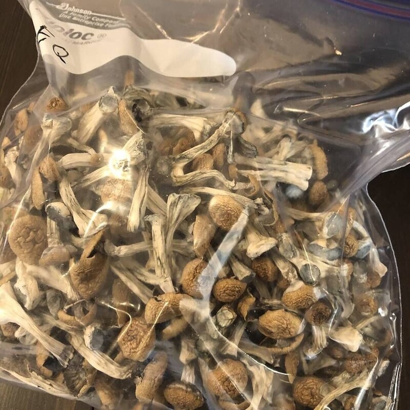 Shrooms