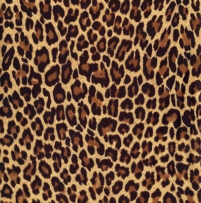 Animal Printed Patterns