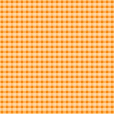 Fall Orange Gingham