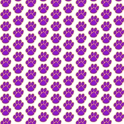 LSU Paw