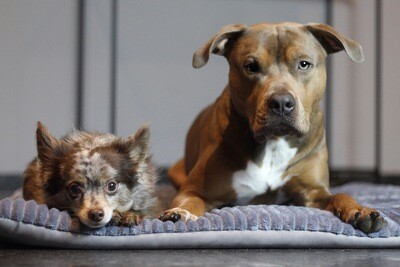 BODENPOFA BAUKASTEN // Matten für Babies Hundeboxen Rückbankwannen // wahlweise mit Anti-Rutsch-Gummierung // Konfigurator für deine individuelle Matte BODENPOFA BAUKASTEN // Matten für Babies Hundeboxen Rückbankwannen // wahlweise mit Anti-Rutsch-Gummierung // Konfigurator für deine individuelle Matte