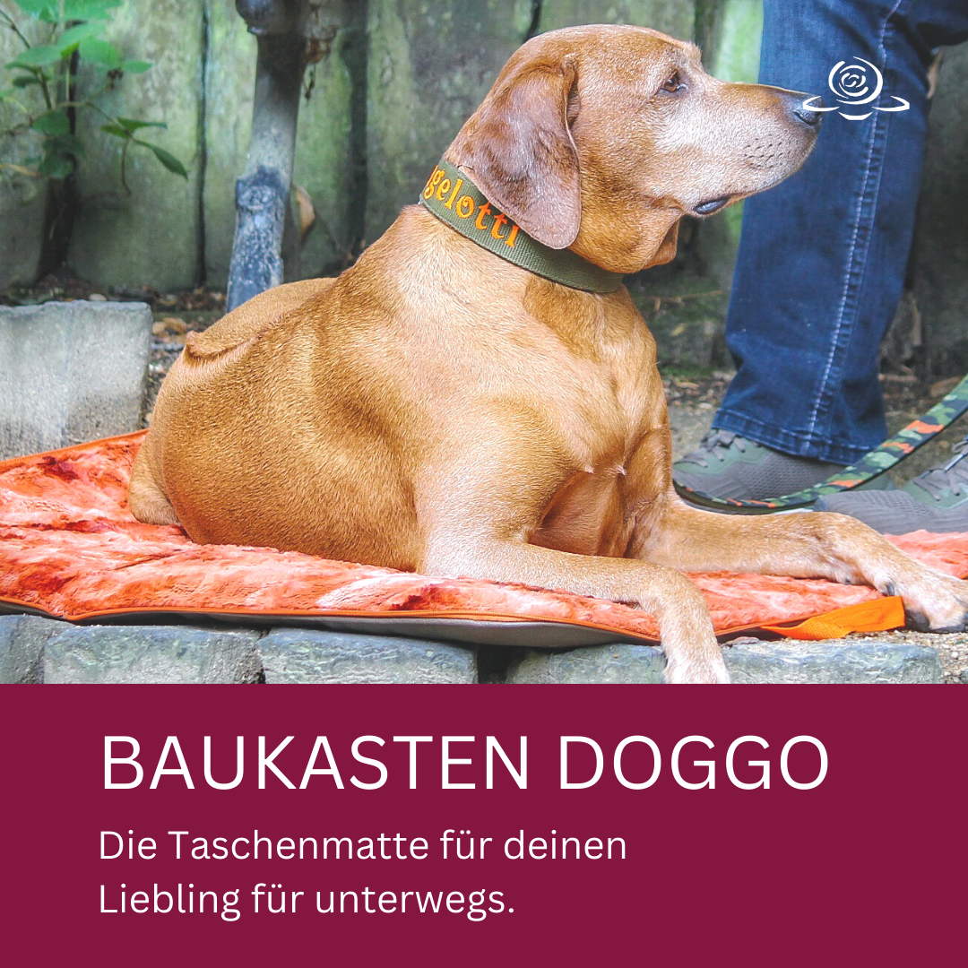 DOGGO BAUKASTEN // Hundematte TO GO // mit D-Ringen und Handschlaufe // Konfigurator für deine individuelle Hundematte für Unterwegs // ohne Tragegurt