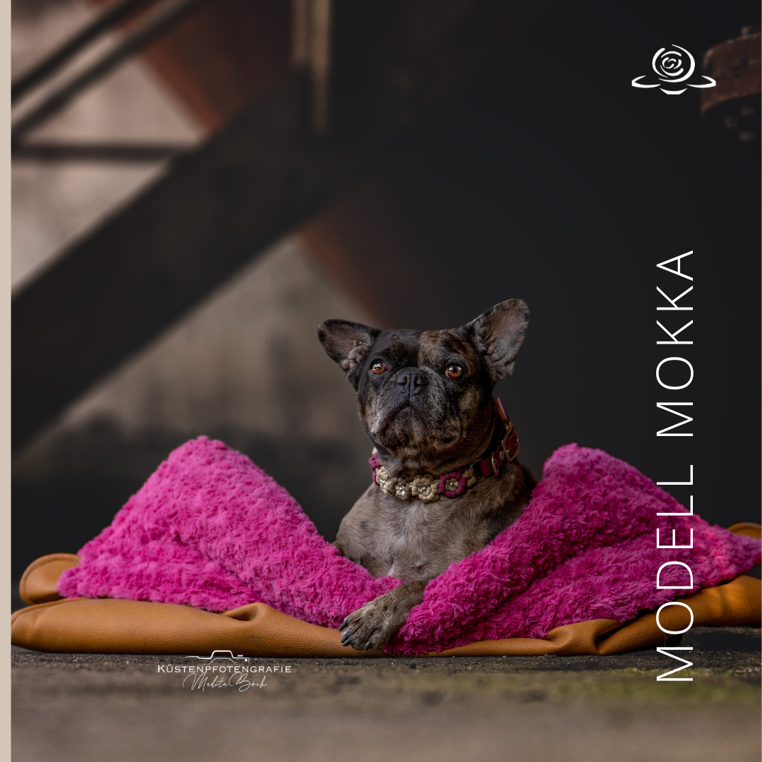 MODELL MOKKA// Kunstleder Cognac Vintage + Pink bzw. Fuchsia + optional mit Reißverschluss