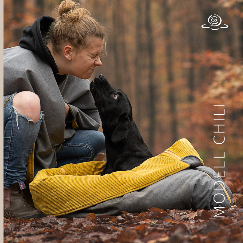 MODELL CHILI // Softshell Graumelange + Okker + optional mit Reißverschluss