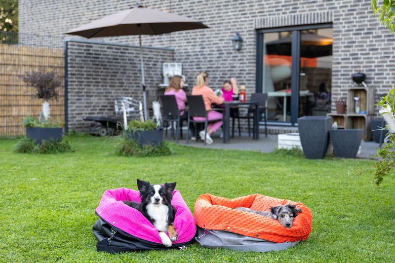 WECHSEL-INLET SOFORTKAUF // Grösse M // Baumwoll-Teddy Schmutziges Mint // OHNE Büddelbag, Henkel, Deko etc. WECHSEL-INLET SOFORTKAUF // Grösse M // Baumwoll-Teddy Schmutziges Mint // OHNE Büddelbag, Henkel, Deko etc.