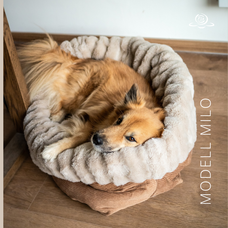 MODELL MILO // Cord Camel + Kunstfell Bubbles Beige + optional mit Reißverschluss