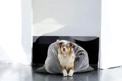 PLÜSCHBÜDDEL PREMIUM //  GRÖSSE L ca. 120x70 cm // Baumwollfleece Graumelange mit Streifenplüsch Hellgrau (MODELL MILA)  // SOFORTKAUF