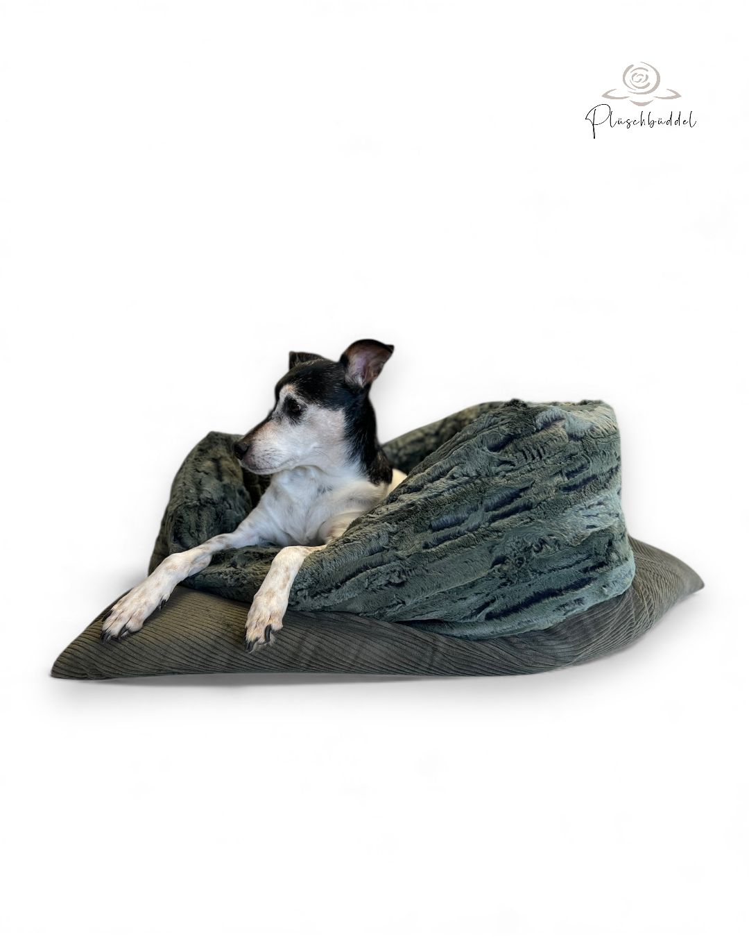 PLÜSCHBÜDDEL PREMIUM INDOOR //  Grösse M ca. 95x65 cm // Cord Khakiolive mit Mountainfuchs Loden // SOFORTKAUF