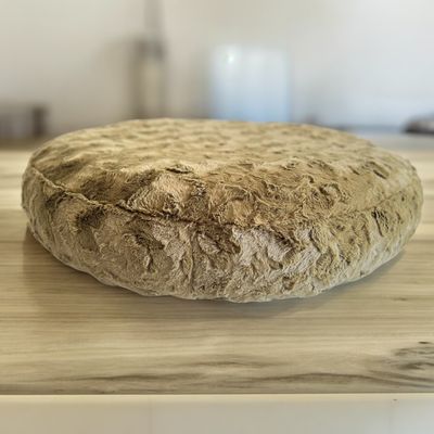 Flocke Ersatzbezug SOFORTKAUF // 90er Durchmesser // Wellenplüsch Olive // Spannbezug