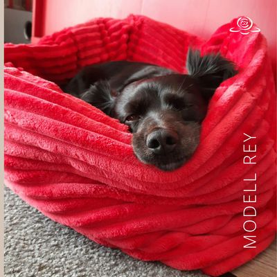 MODELL REY // Baumwollfleece Dunkelgrau Melange + Plüsch in Rot + optional mit Reißverschluss