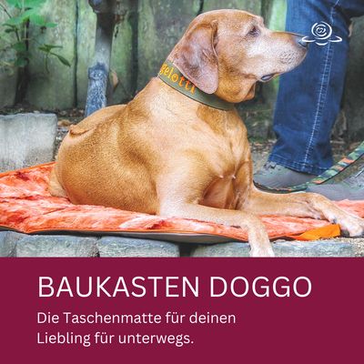 DOGGO BAUKASTEN // Hundematte TO GO // mit D-Ringen und Handschlaufe // Konfigurator für deine individuelle Hundematte für Unterwegs // ohne Tragegurt DOGGO BAUKASTEN // Hundematte TO GO // mit D-Ringen und Handschlaufe // Konfigurator für deine individuelle Hundematte für Unterwegs // ohne Tragegurt