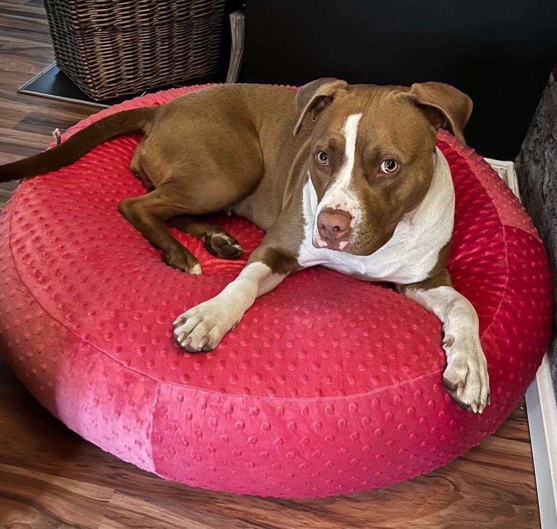 Flocke Ersatzbezug // 90er Durchmesser // Minky Dots Himbeere // Spannbezug SOFORTKAUF