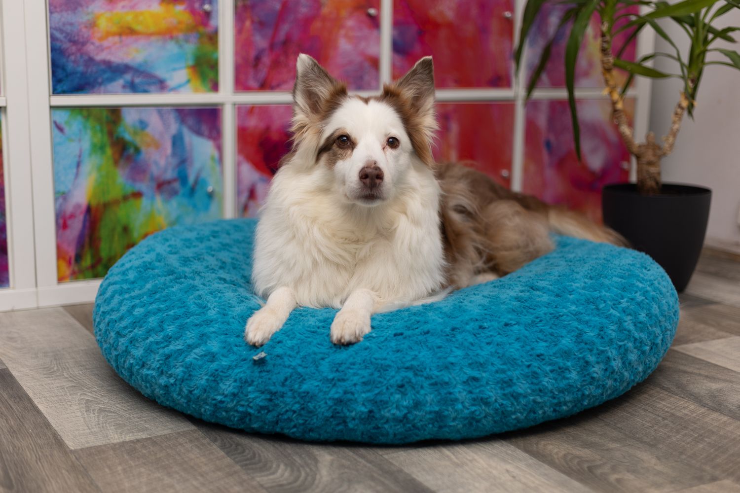 Flocke Ersatzbezug SOFORTKAUF // 90er Durchmesser // Rosenplüsch Türkis // Spannbezug