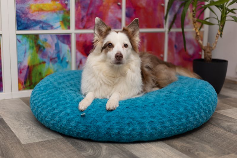 Flocke Ersatzbezug SOFORTKAUF // 90er Durchmesser // Rosenplüsch Türkis // Spannbezug