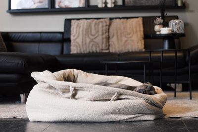 HOMYBAG PREMIUM BAUKASTEN // Unsere schlichte Büddelbag für Indoor ganz individuell nach deinem Geschmack